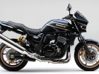 Kawasaki ZRX 1200R DAEG Special Edition